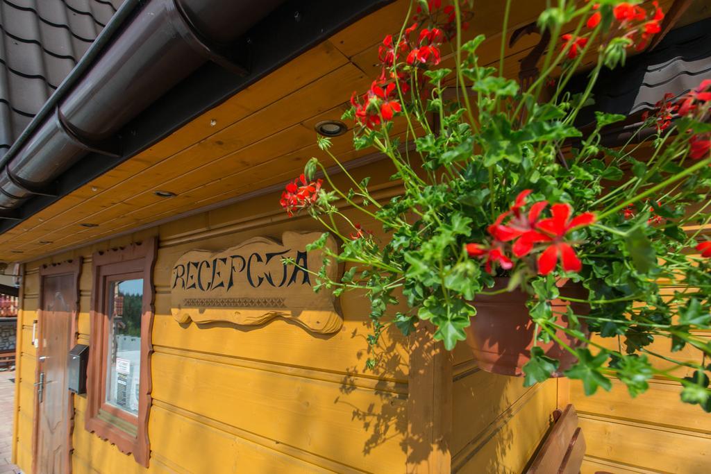 Willa Stachoniowka Zakopane Dış mekan fotoğraf